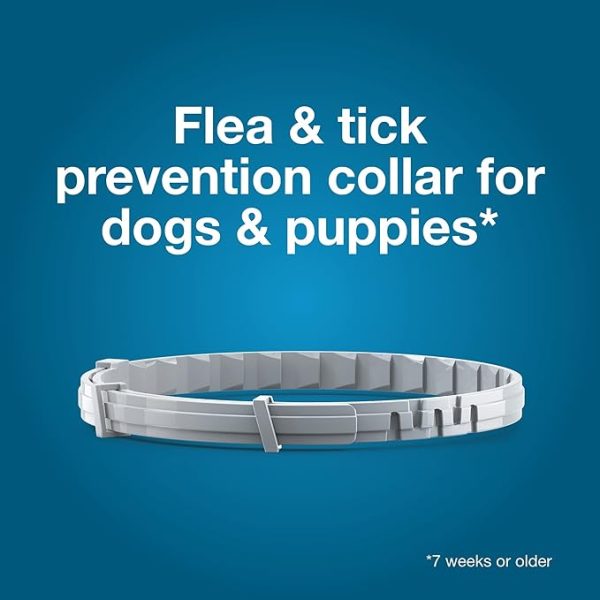Seresto Large Dog Vet-Recommended Flea & Tick Treatment & Prevention Collar for Dogs Over 18 lbs. | 8 Months Protection - Image 3
