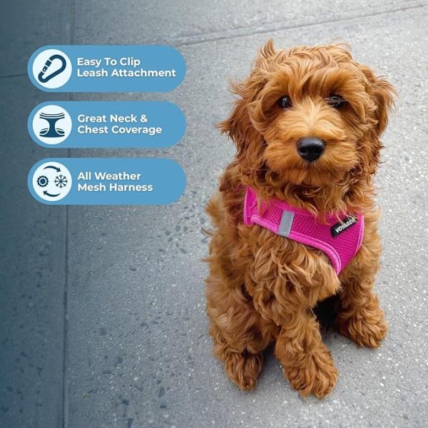 Voyager Step-in Air Dog Harness - All Weather Mesh Step in Vest Harness for Small and Medium Dogs and Cats by Best Pet Supplies - Harness (Fuchsia), S (Chest: 14.5-16") - Image 4
