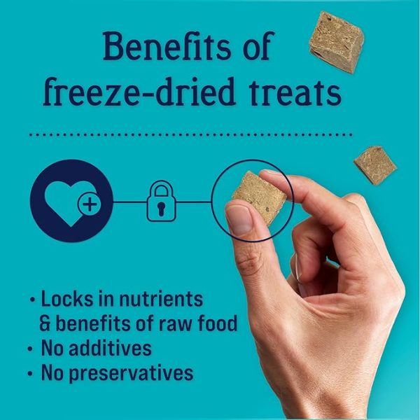 Stewart Freeze Dried Dog Treats, Beef Liver, Salmon, Chicken Liver & Chicken Breast, 4 oz, 12 oz, 14 oz, 21 oz, Resealable Tub, Grain Free & Gluten Free, Single Ingredient, Dog Training Treats - Image 3