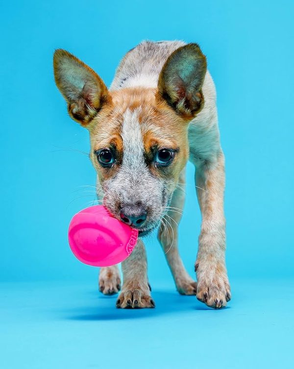 Hartz DuraPlay Ball Squeaky Latex Dog Toy, Medium 3 Pack - Image 3