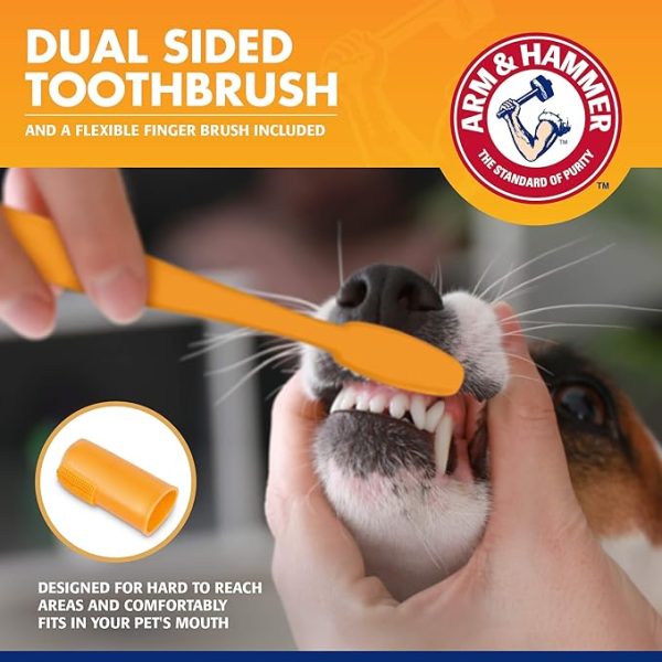Arm & Hammer for Pets Tartar Control Kit for Dogs | Contains Toothpaste, Toothbrush & Fingerbrush | Reduces Plaque & Tartar Buildup | Safe for Puppies, 3-Piece , Beef Flavor - Image 3