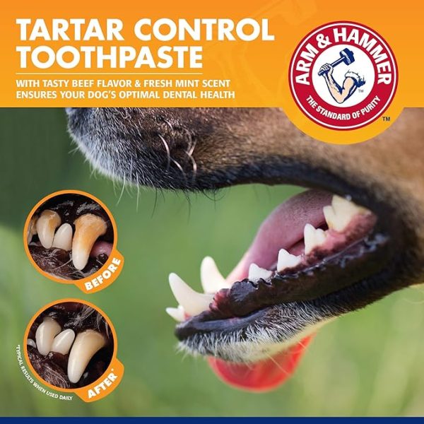 Arm & Hammer for Pets Tartar Control Kit for Dogs | Contains Toothpaste, Toothbrush & Fingerbrush | Reduces Plaque & Tartar Buildup | Safe for Puppies, 3-Piece , Beef Flavor - Image 2